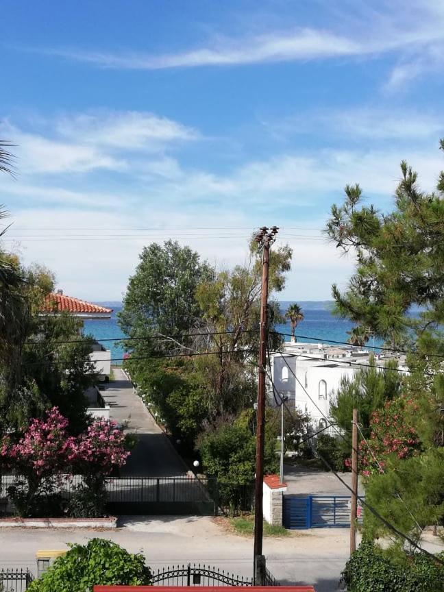 Villa Christina Sea Side A Hanioti Exterior photo